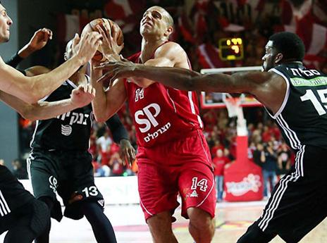 לימונד יצא לטיול ביער (עודד קרני)