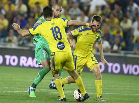 גם על הדשא הם נהנו? (צילום: אלן שיבר)