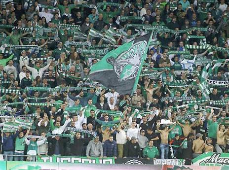 דרבי במחזור הפתיחה. אוהדי מכבי חיפה (אלן שיבר)