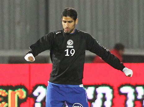 דיין. כמעט ולא ראה דשא (יוסי שקל)