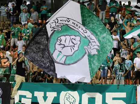 הקהל הירוק בלויטה (אלן שיבר)