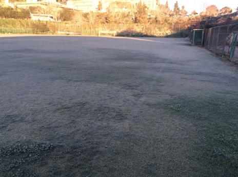 כך נראה בית וגן