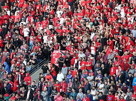 אוהדי הפועל ת"א. נקודת אור נוספת (אלן שיבר)