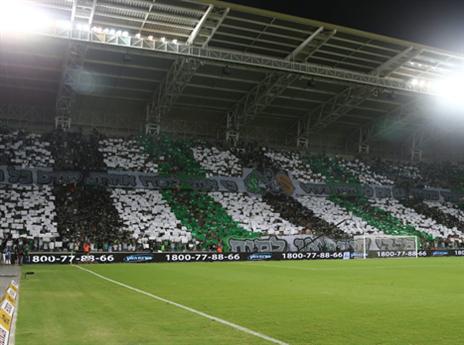 אוהדי חיפה. התפאורה לגביע תאושר? (צילום: אלן שיבר)