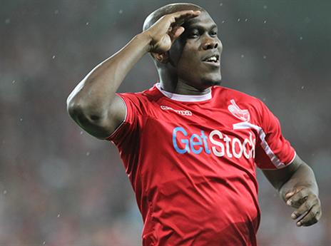 (צילום: דני מרון)