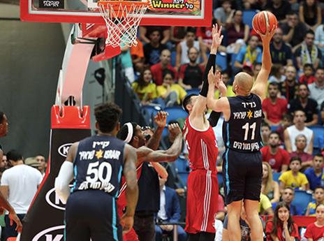 כדיר נאבק בצבע (אלן שיבר)