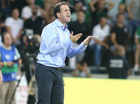 "עוד בקיץ ידעתי שאכלנו אותה" (צילום: אלן שיבר)