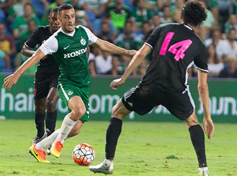 לביא. ממשיך להחזיק את הקישור (עודד קרני)