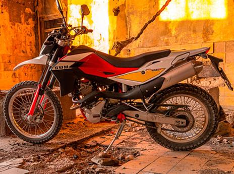 בעל בולמים רכים (סקוטרמן)