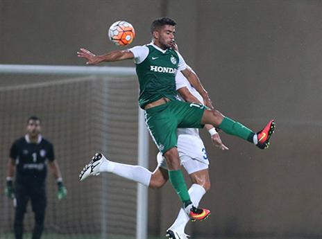 גוזלן (יוסי שקל)