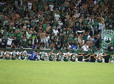 הרצף נמשך (אלן שיבר)