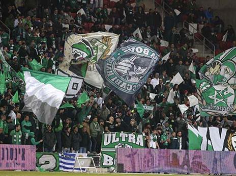 הקהל הירוק לא מאבד תקווה (אלן שיבר)