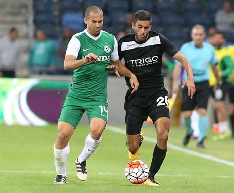 יעבה את הסגל, דילמוני