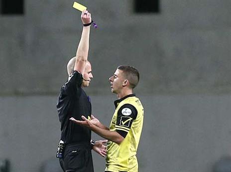 בלב מהומה. ורד (אלן שיבר)