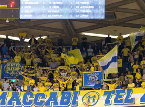 יחזיר את אהדת הקהל (צילום: עודד קרני)