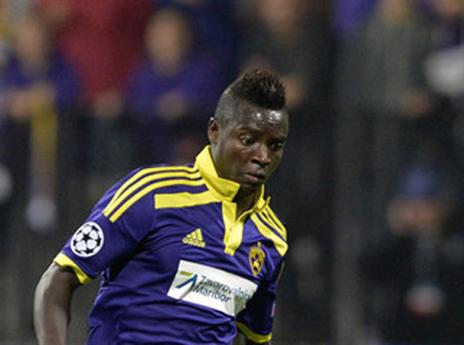 שוב על הדשא, סולליך