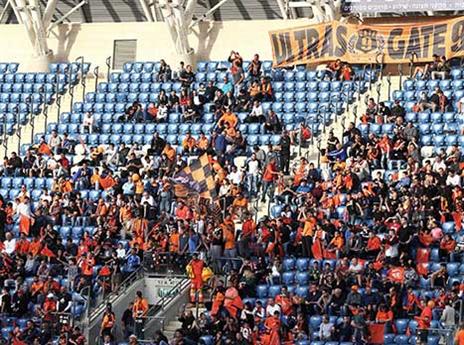 ימלאו את טדי (אלן שיבר)