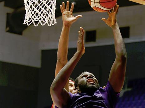 נתן תפוקה בצבע. דראמה (אלן שיבר)