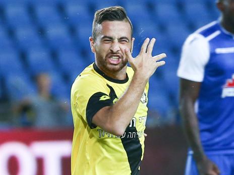 כבש יותר משש קבוצות. סבע (אלן שיבר)