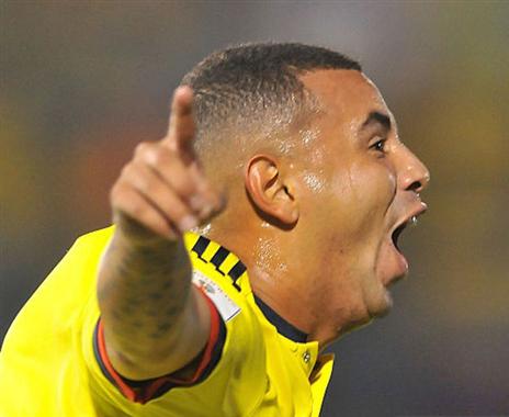 פורח בדרום אמריקה (getty)