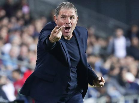 ראיתם קבוצה של גוטמן? (דני מרון)