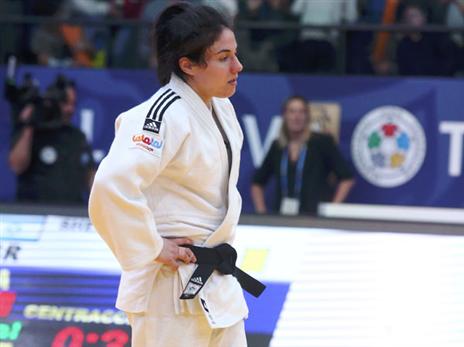 הפתעת היום. שמש (אלן שיבר)