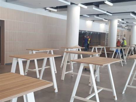 (צילום: שירי אלג'ם)