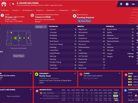 פרופיל הפוטבול מנג'ר של דוד קלטינס