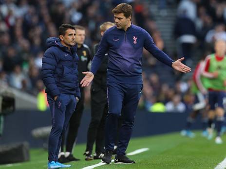 פוצ'טינו. תהיתם למה אין לו שיער לבן? (getty)