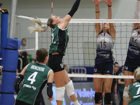 (איגוד הכדורעף)