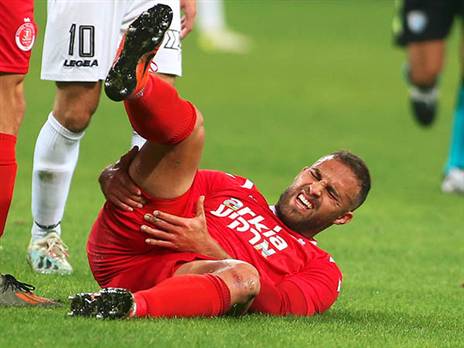 פרחאת סובל מקרע? (אלן שיבר)