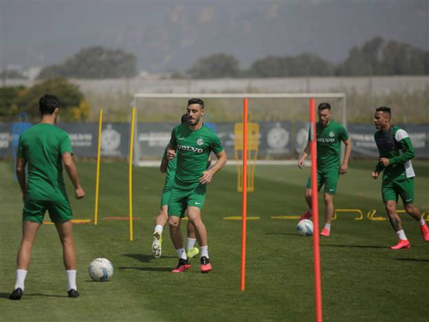 (האתר הרשמי של מכבי חיפה)