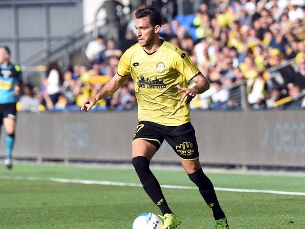 (ברני ארדוב)