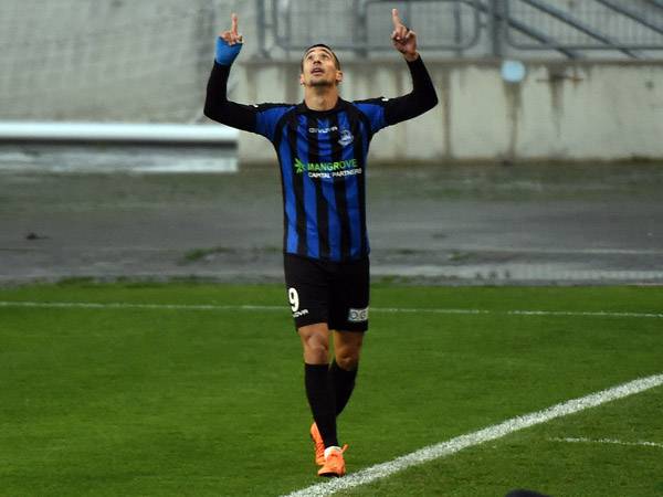 (ברני ארדוב)