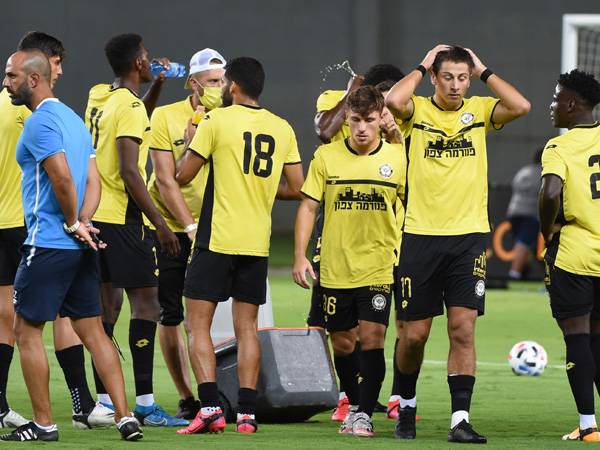 (ברני ארדוב)