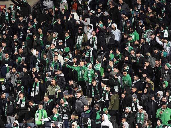 אוהדי חיפה. מסתדרים בלעדיהם (אלן שיבר)