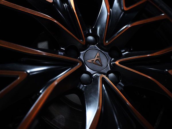 (יוסי מויאל)