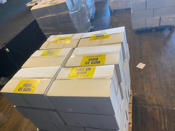 (באדיבות מכבי ת"א)