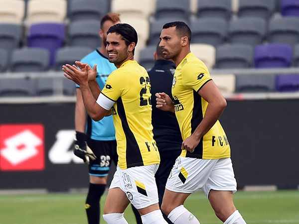 (ברני ארדוב)