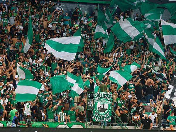 23 אלף יפקדו את היציעים (אלן שיבר)