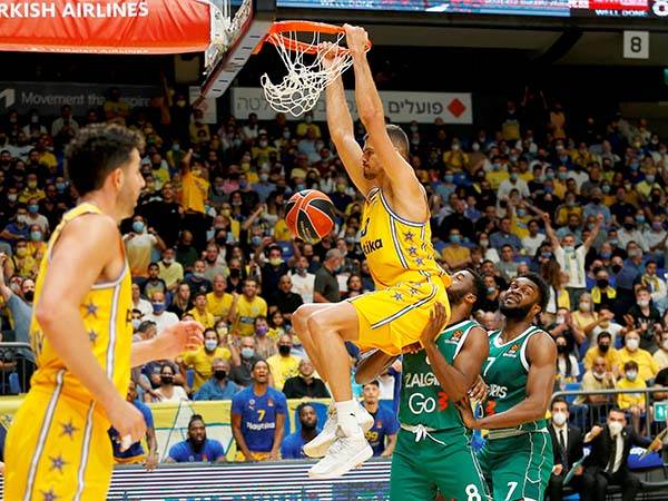 ז'יז'יץ'. משחק טוב של הסנטר המתקאמבק (אלן שיבר)