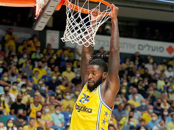 "הפתרון של פרטיזן" (אלן שיבר)