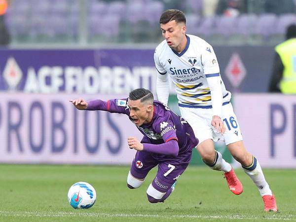 חלוקת נקודות (Getty)