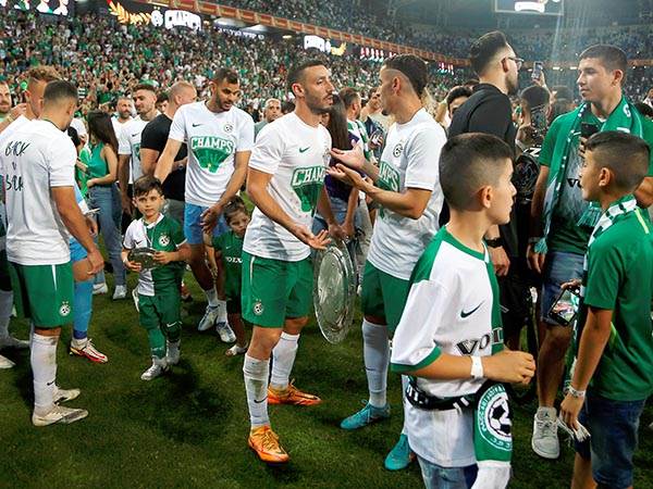 (צילום: אלן שיבר)