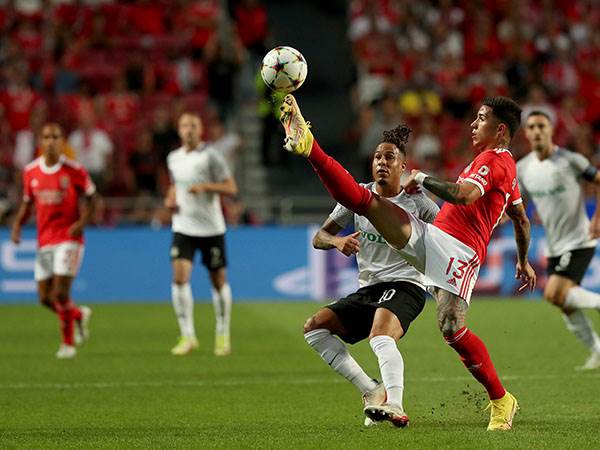 שרי. הבמה הגדולה ביותר (Getty)