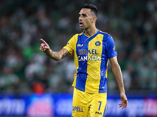 (מאור אלקסלסי)