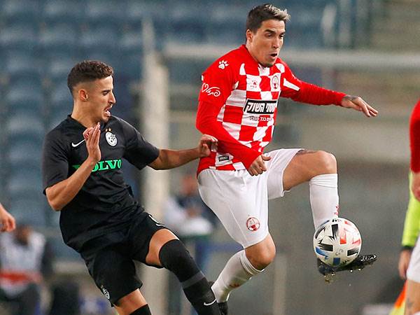 תקופה יפה בארץ (אלן שיבר)