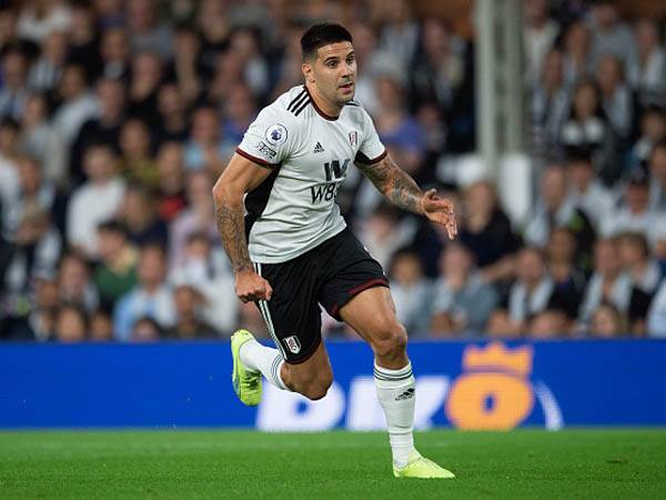 "כובש שערים טבעי, קטלני". מיטרוביץ' (GETTY)