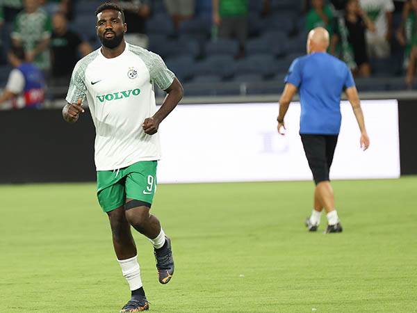 מעריכים את ההשקעה שלו על הדשא. פיירו (ברני ארדוב)