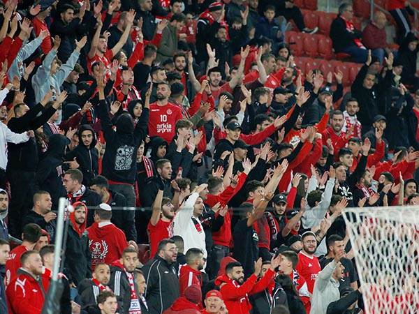 ואיזה מסכנים האוהדים (אלן שיבר)